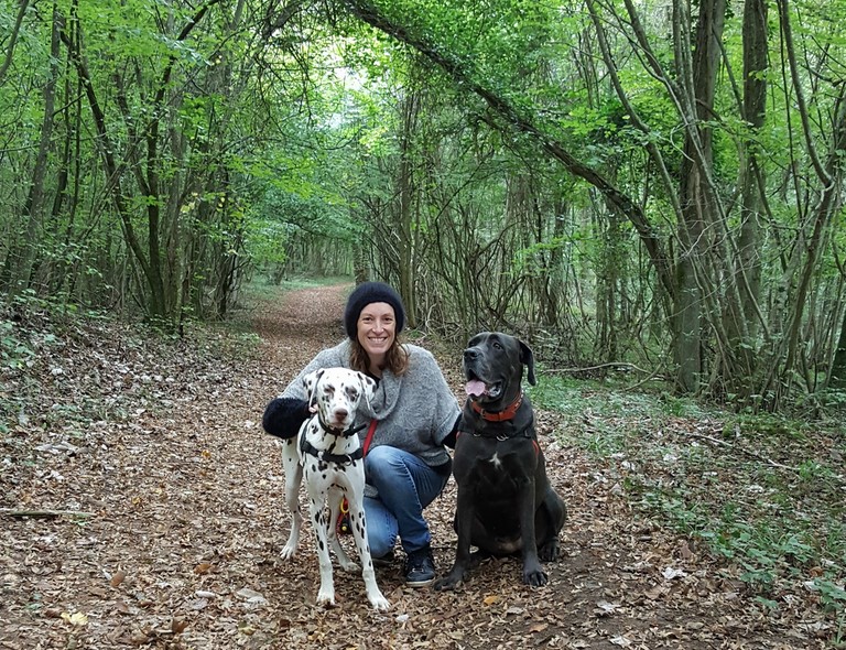 Balades éducatives entre chiens dans la région de Nancy
