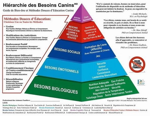 Hiérarchie des besoins canins Nancy